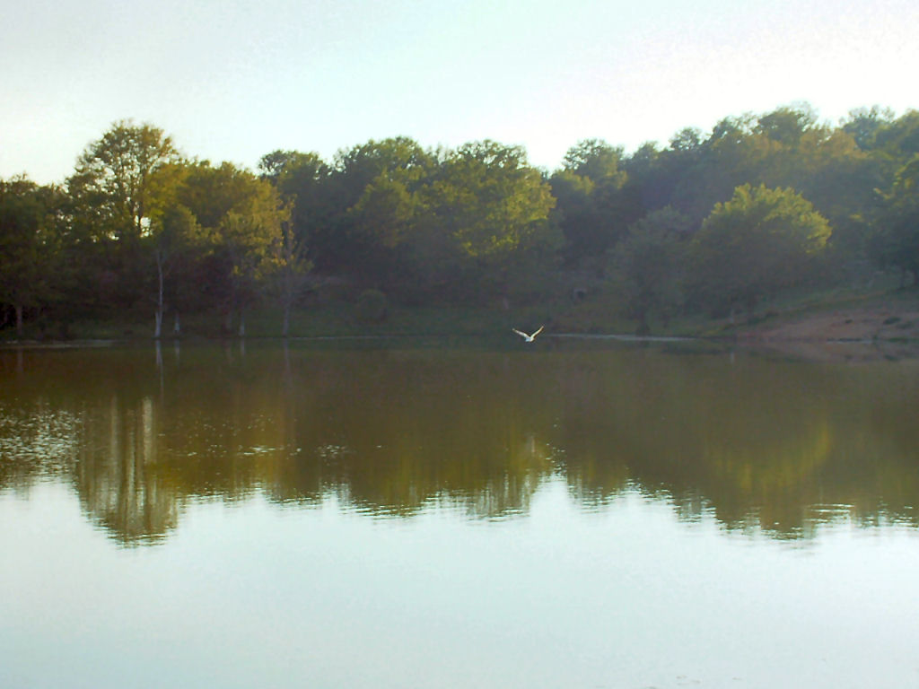 Lago Biviere (Nebrodi)